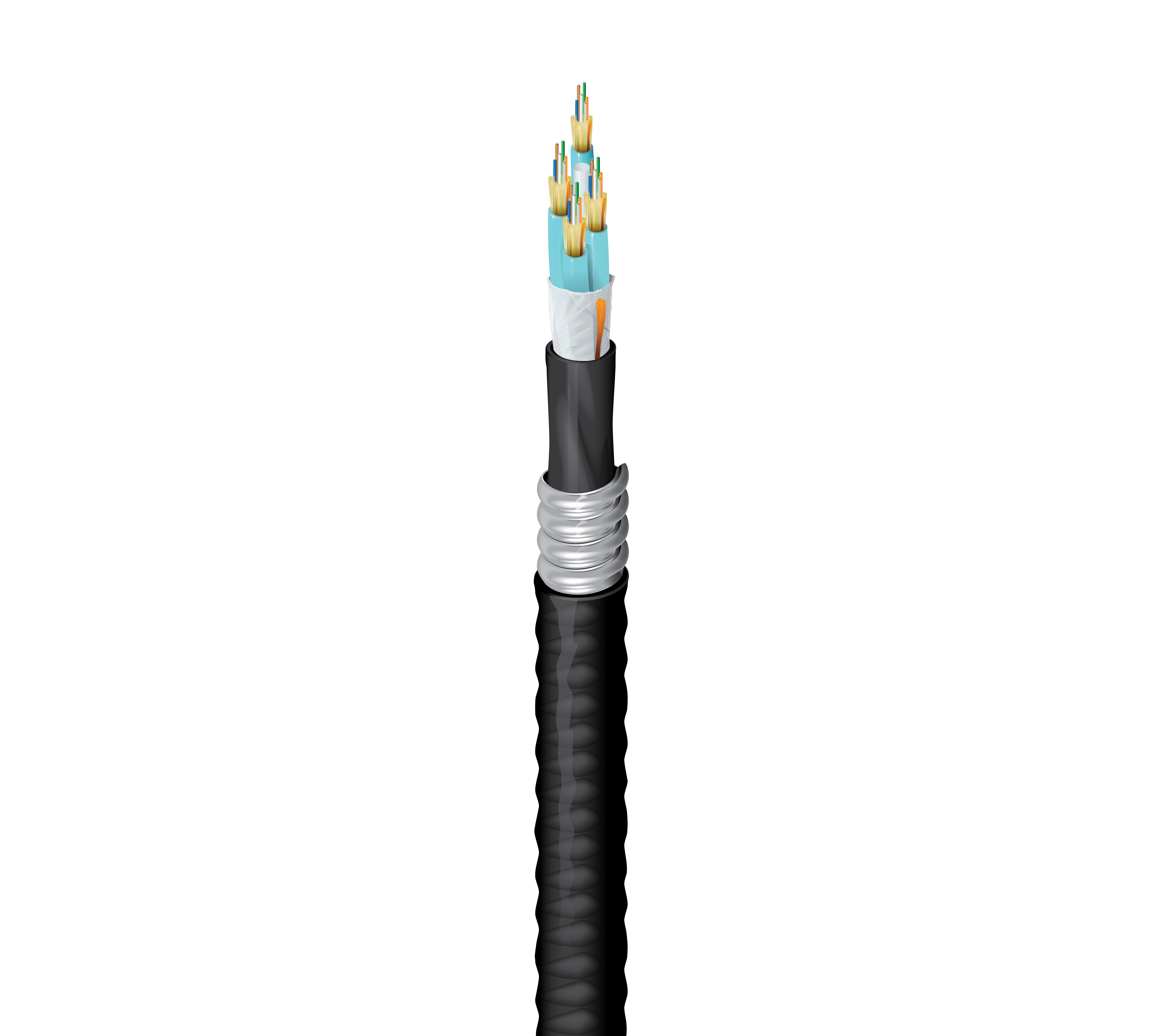 FD3D024FJ