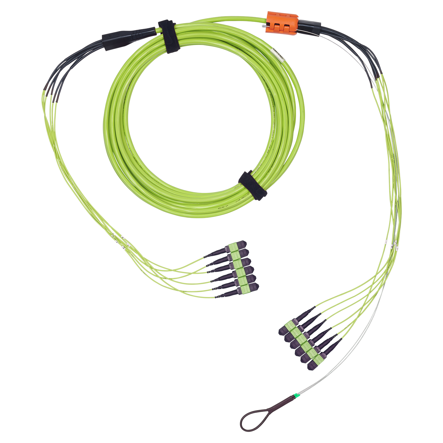 FM5MMB6010M