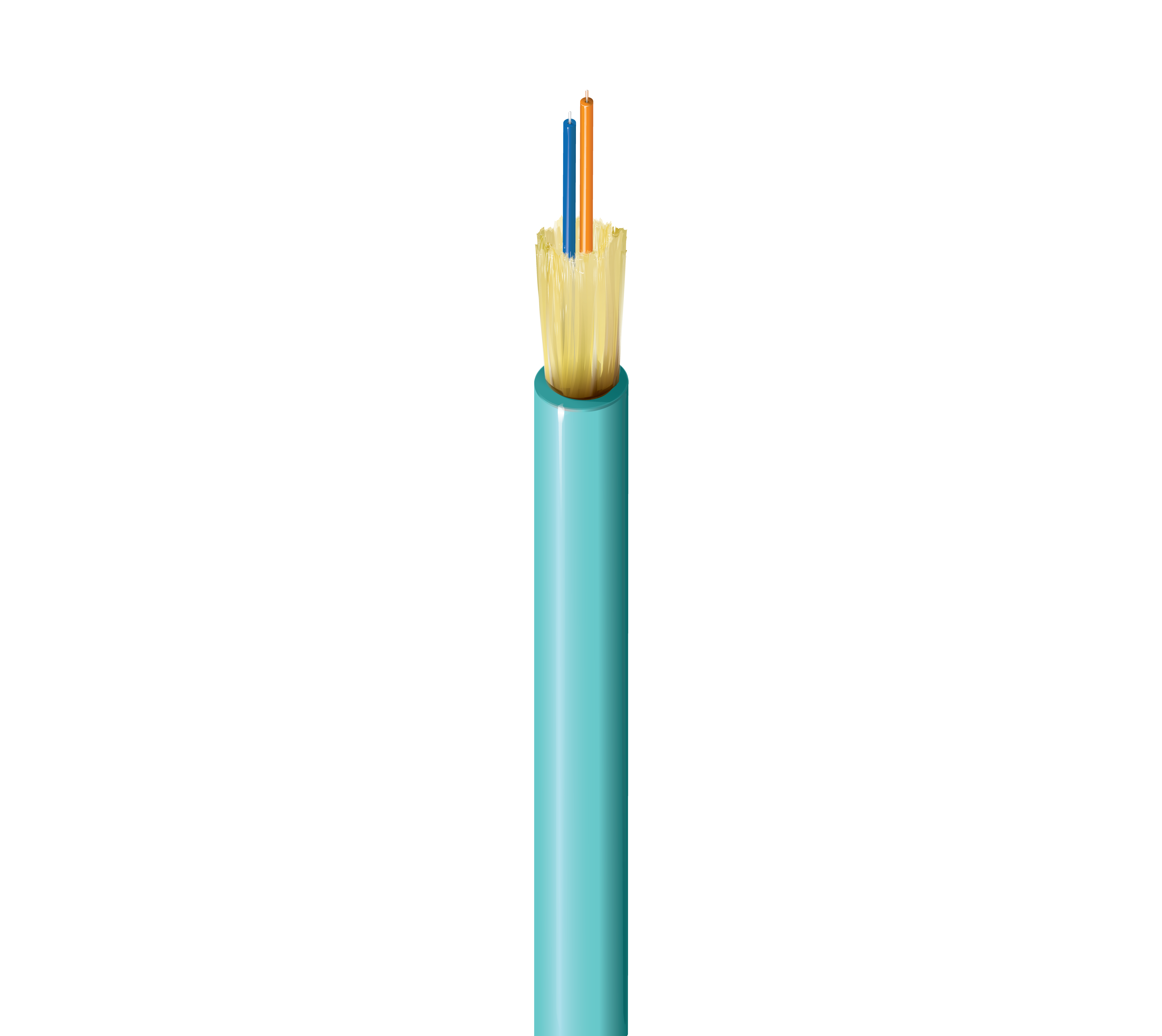 FI3D002R9