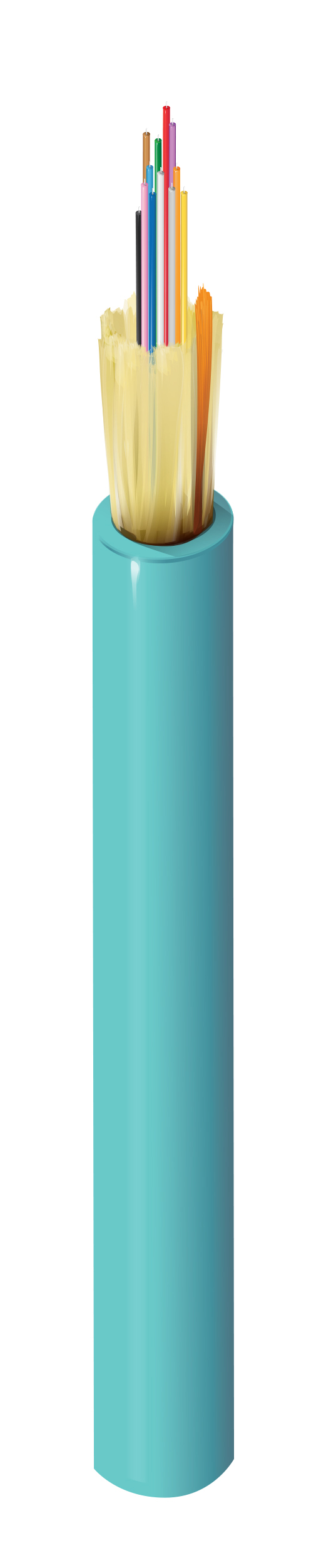FI4M024L2A
