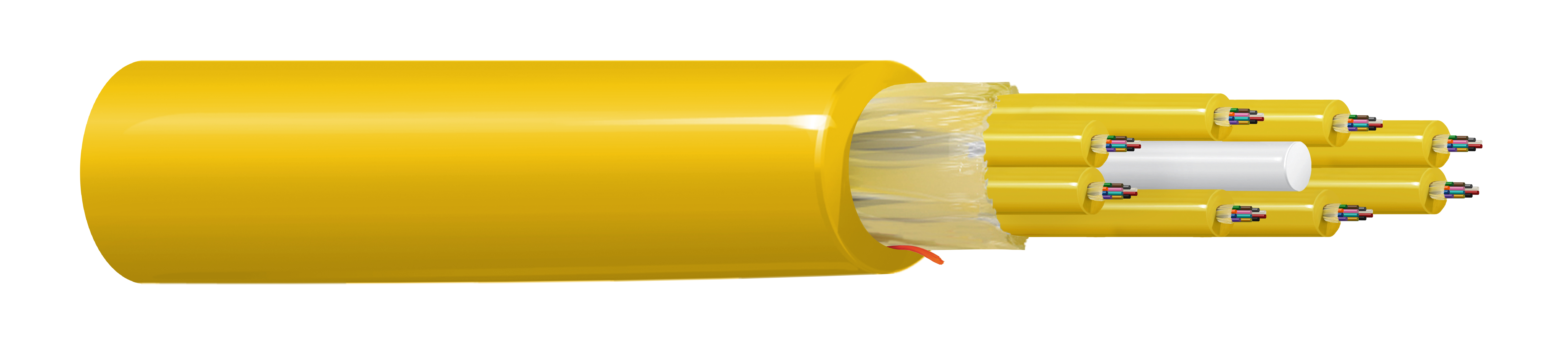 FIBM096P1