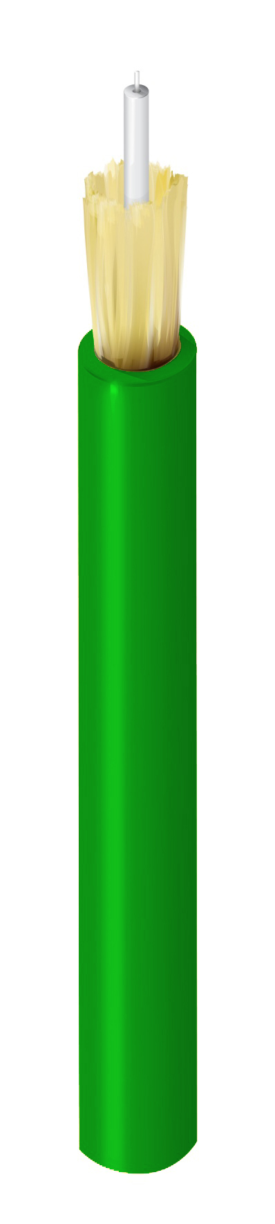 FISI001PCG