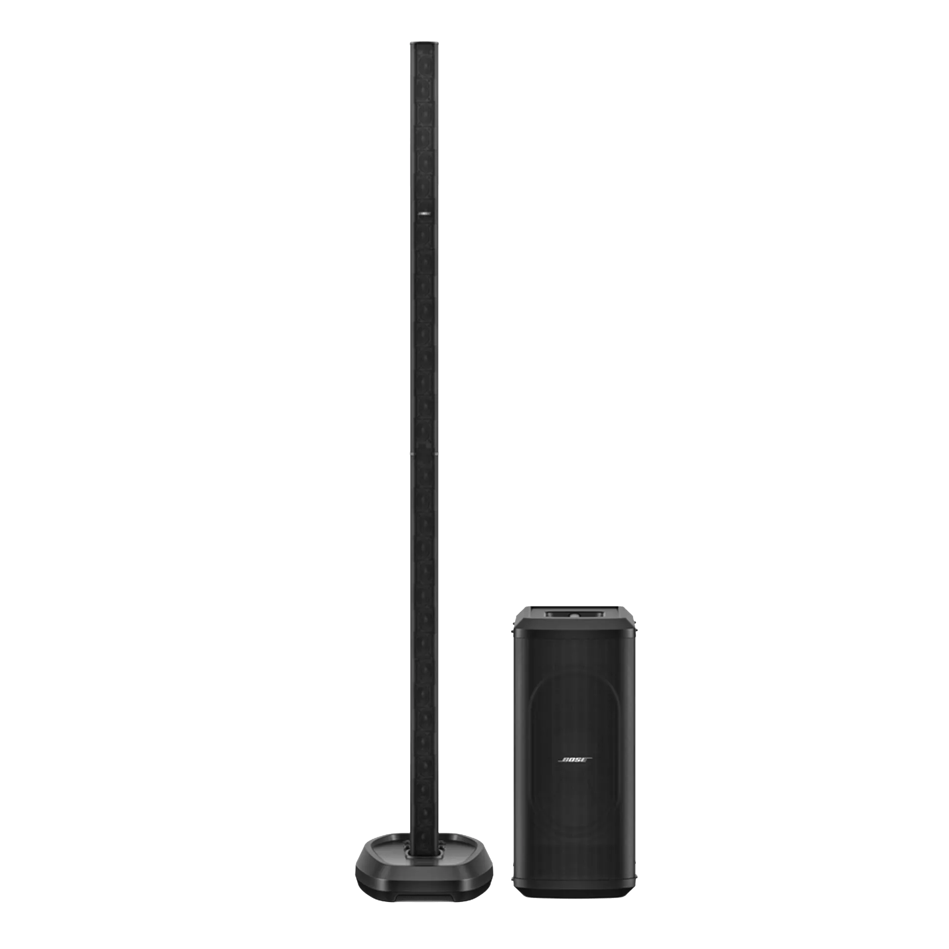 L1