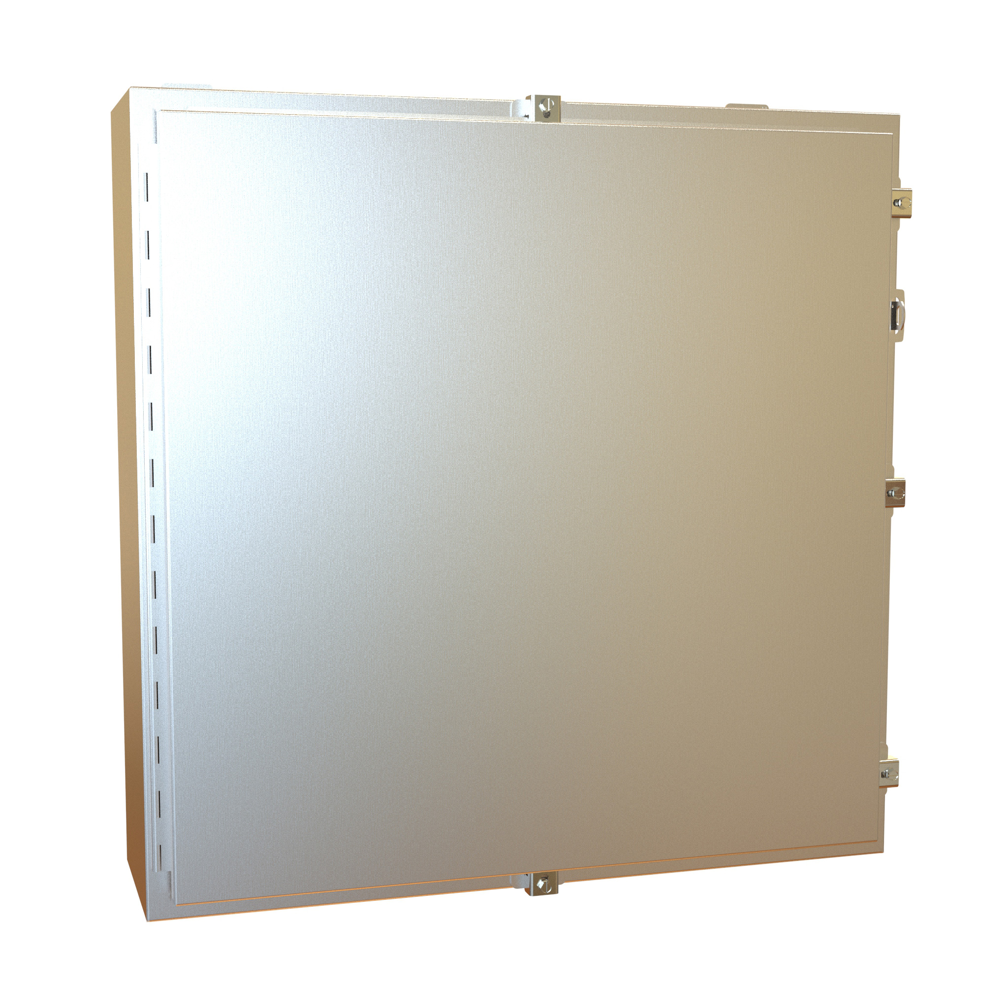 1418N4SSKK8 — N4X Wallmount Encl w/panel - 30 x 30 x 8 - 304 SS