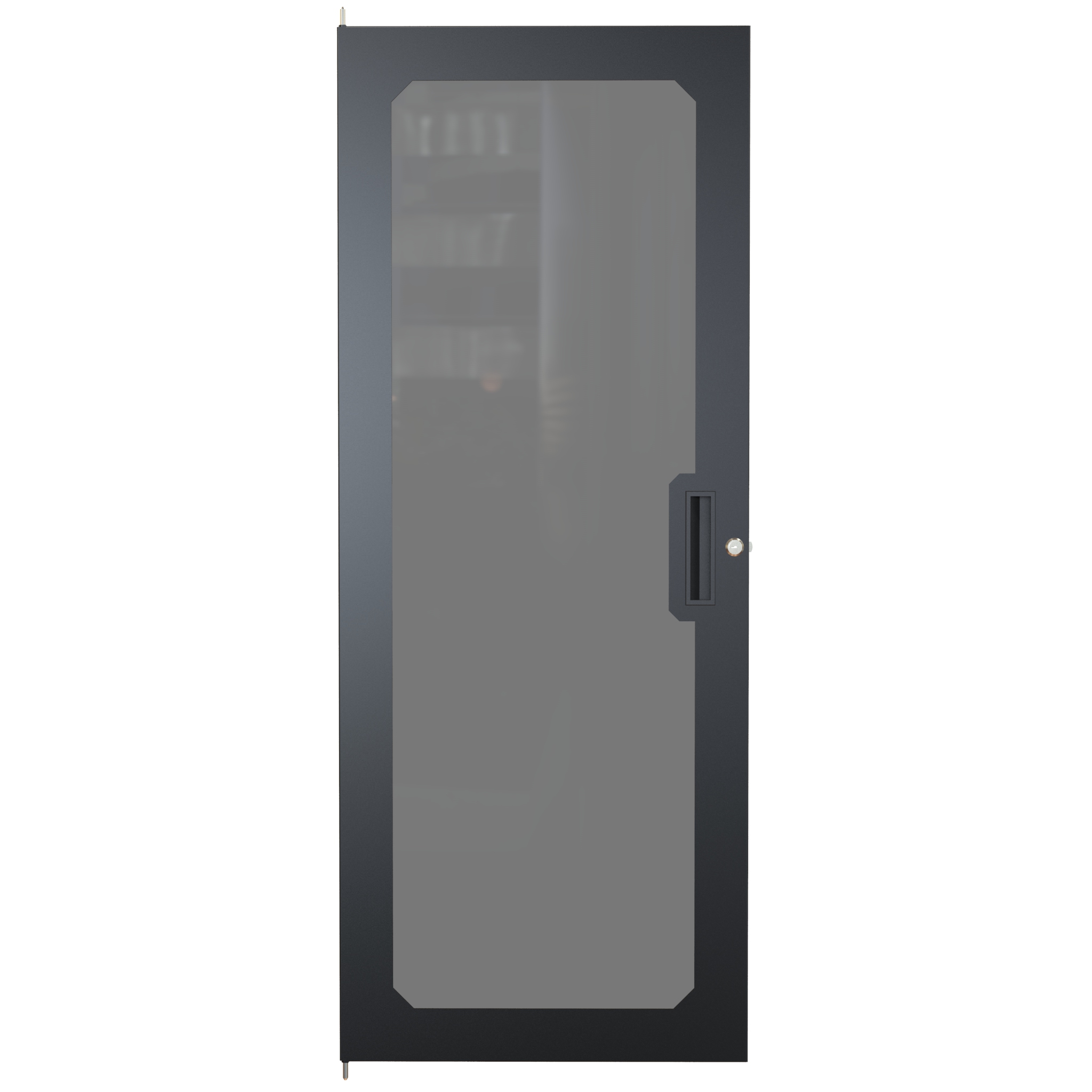 C2DF1949PBK1 — 28U Window Door for C2 Frame