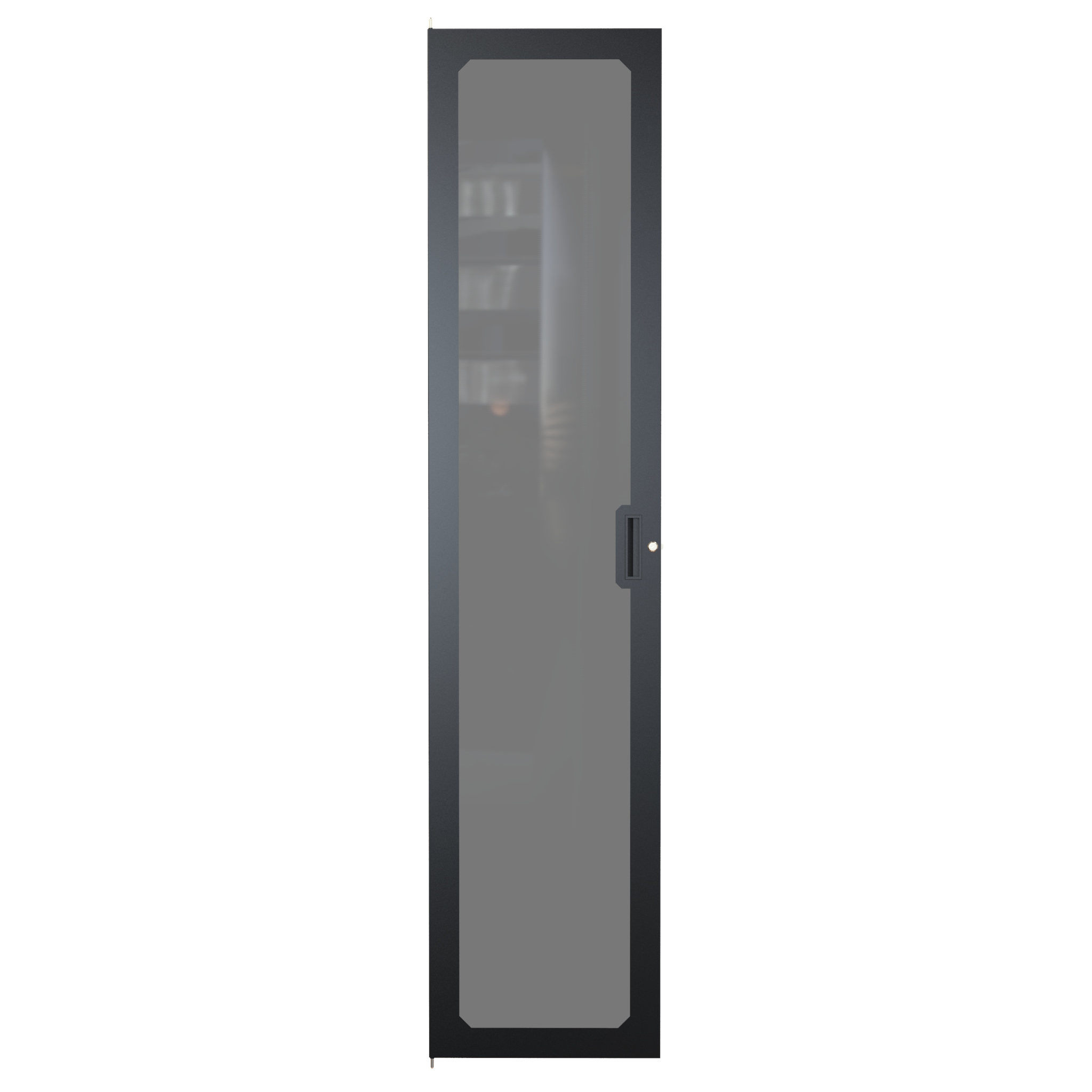 C2DF1985PBK1 — 49U Window Door for C2 Frame