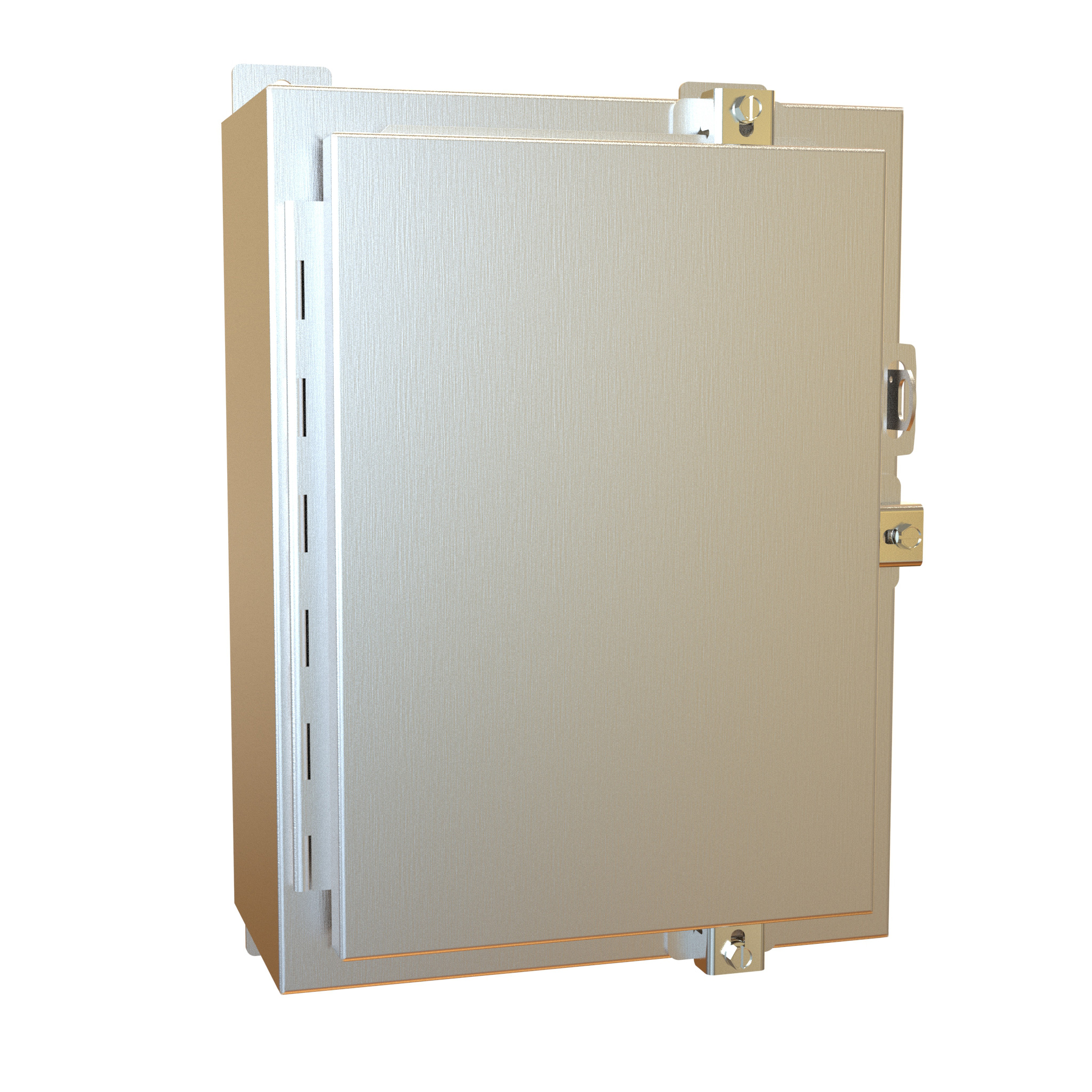 Type 4X Stainless Steel Wallmount Enclosure