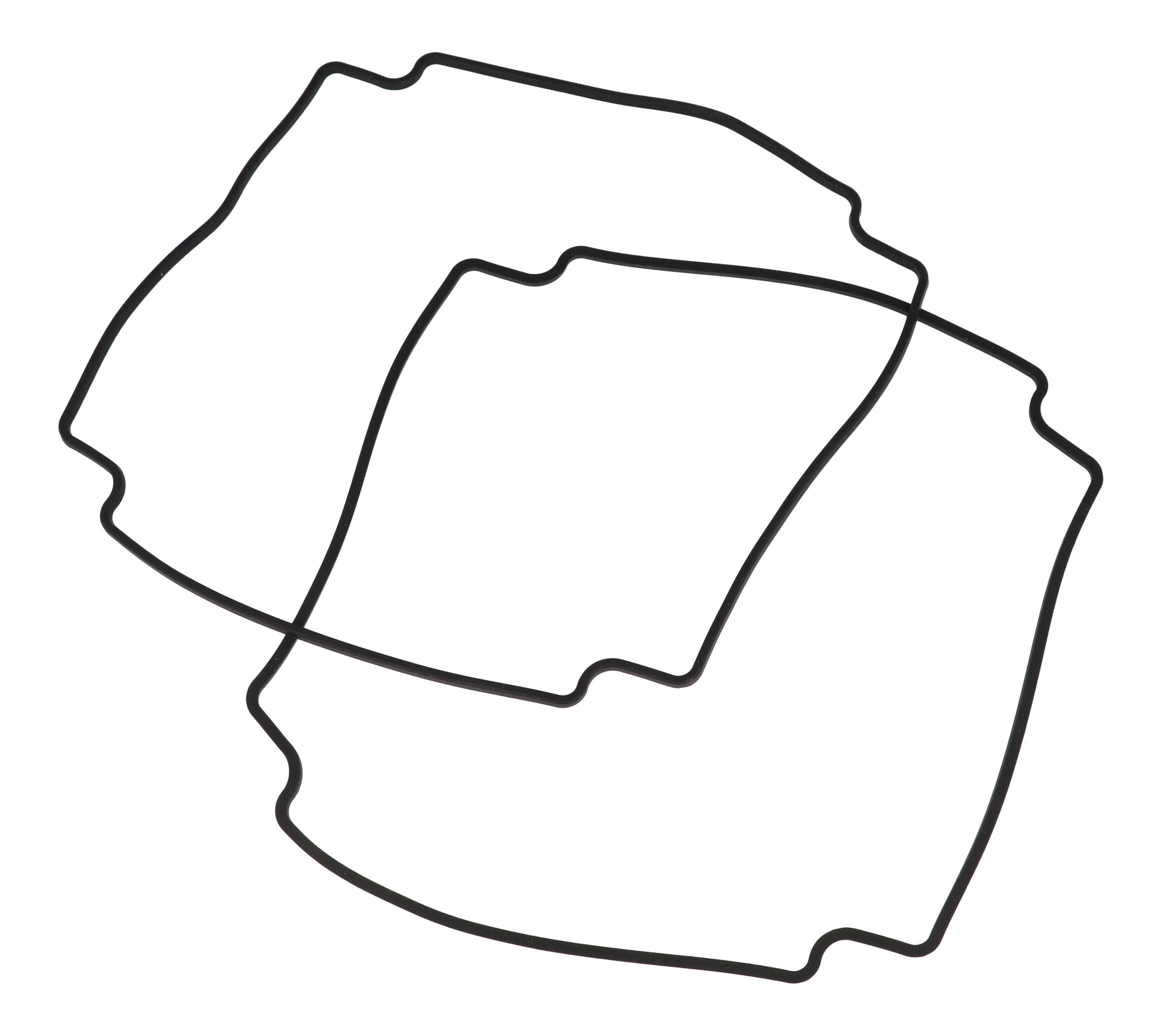 1590Z231G — replacement gasket for 1590Z231 enclosures