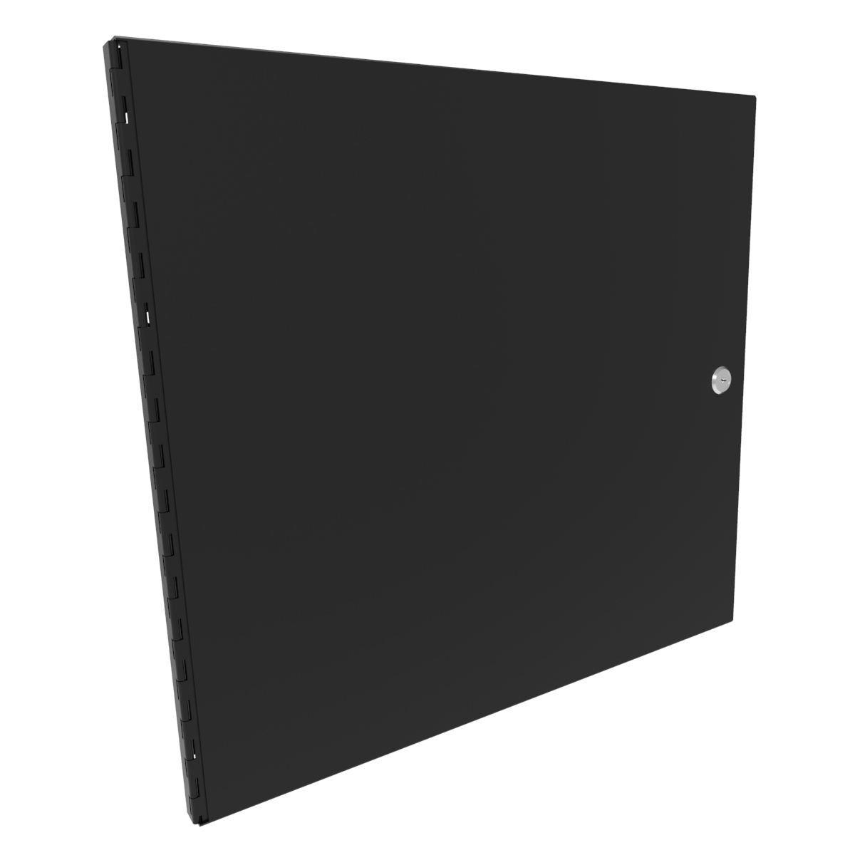 RSDP19017BK2 — 10U Solid Rackmount Door Black