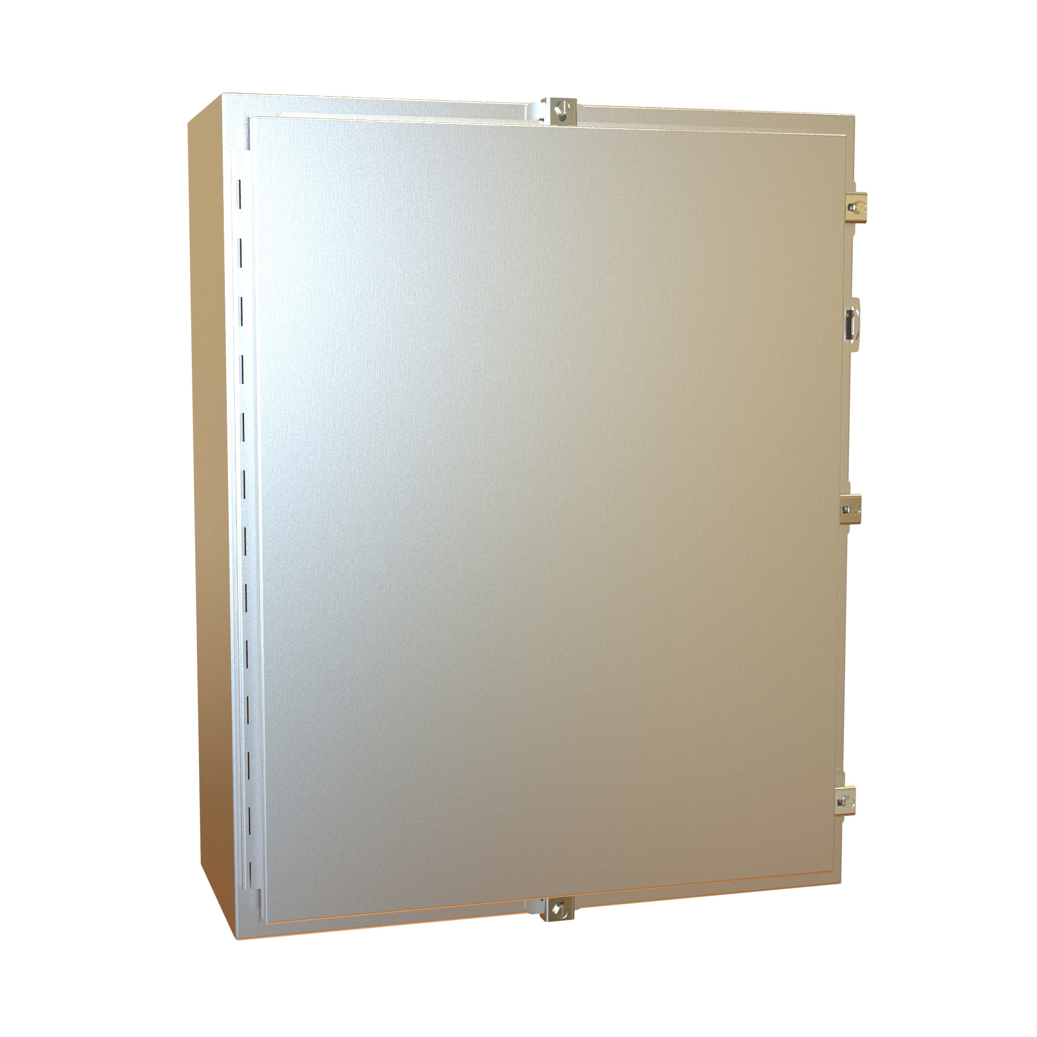 1418N4SSK10 — N4X Wallmount Encl w/panel - 30 x 24 x 10 - 304 SS