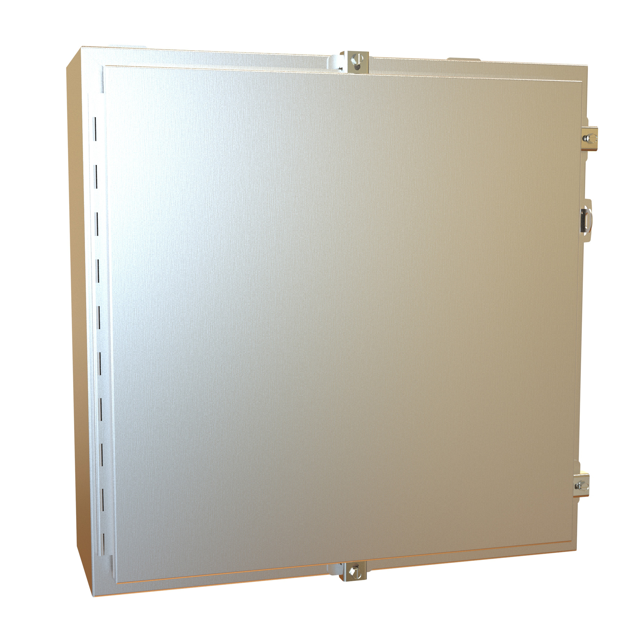 1418N4SSJ8 — N4X Wallmount Encl w/panel - 24 x 24 x 8 - 304 SS