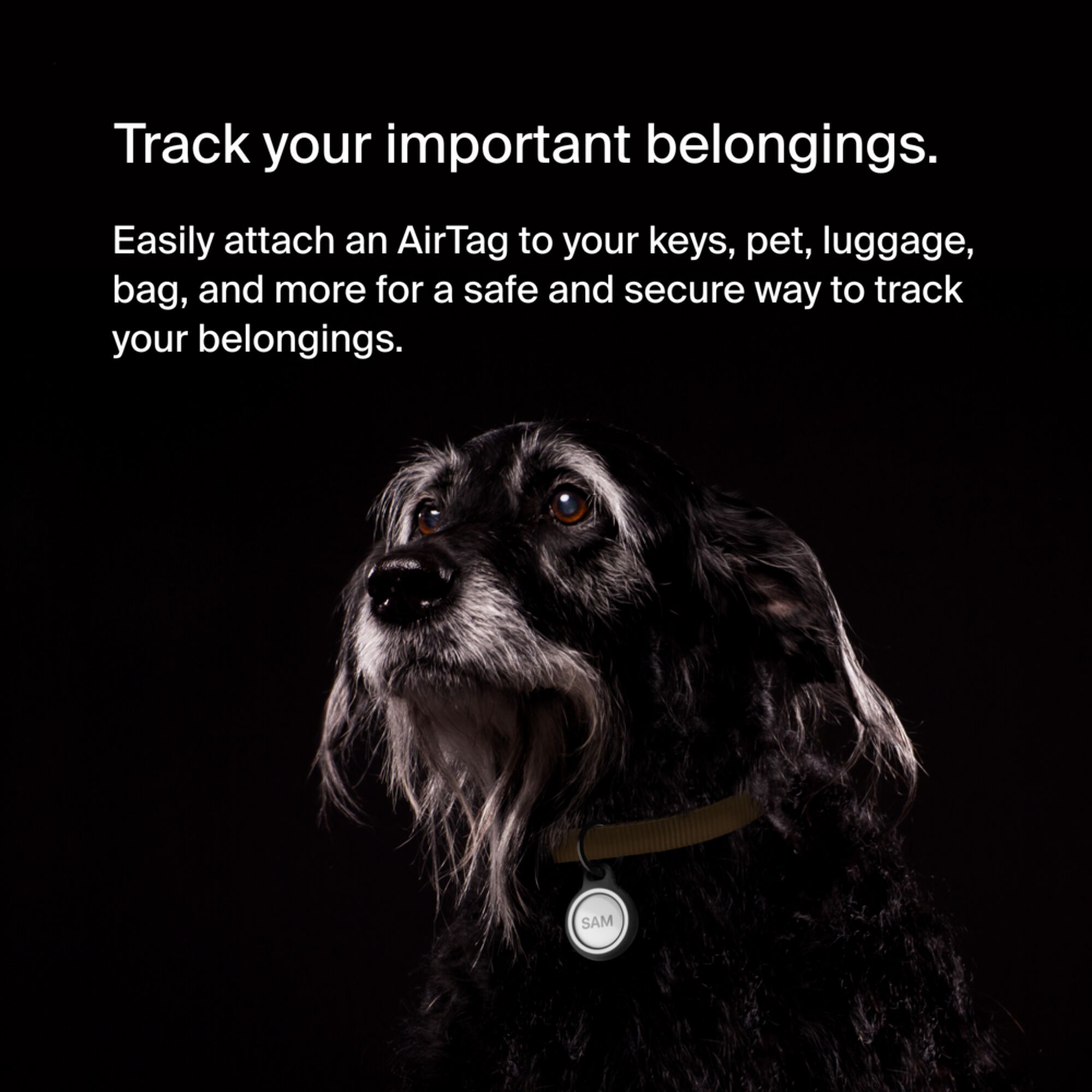 Belkin black Reflective Secure Holder with Key Ring holding an Apple AirTag. — view 7